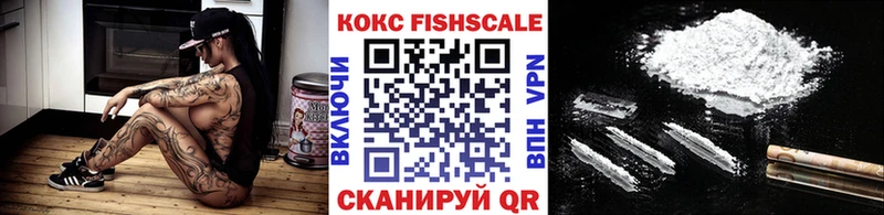 как найти наркотики  Сельцо  COCAIN Fish Scale 