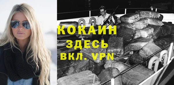 крисы Тайга