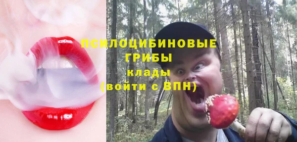 PSILOCYBIN Надым