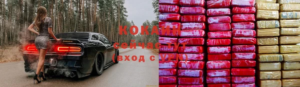 mix Сосновый Бор